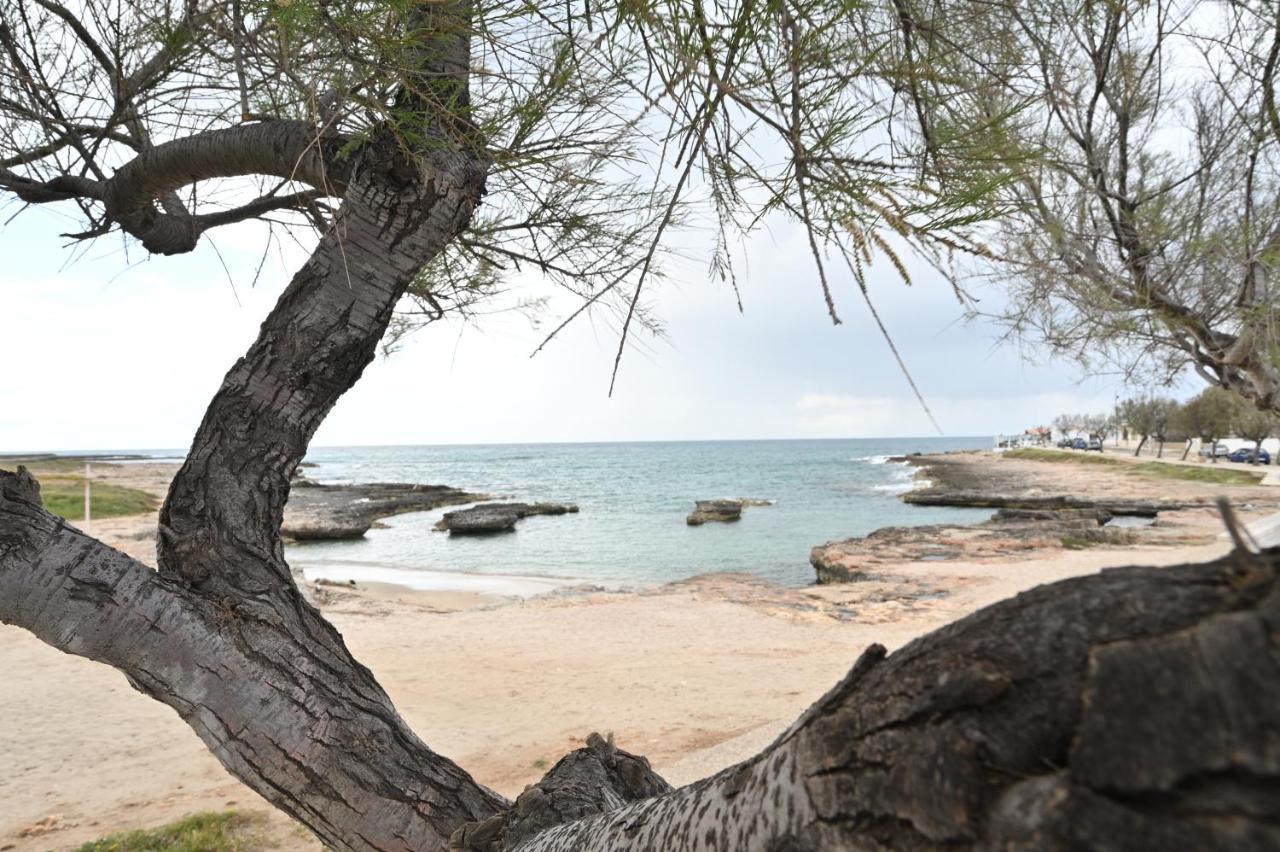 Villa Adua Torre Santa Sabina Dış mekan fotoğraf