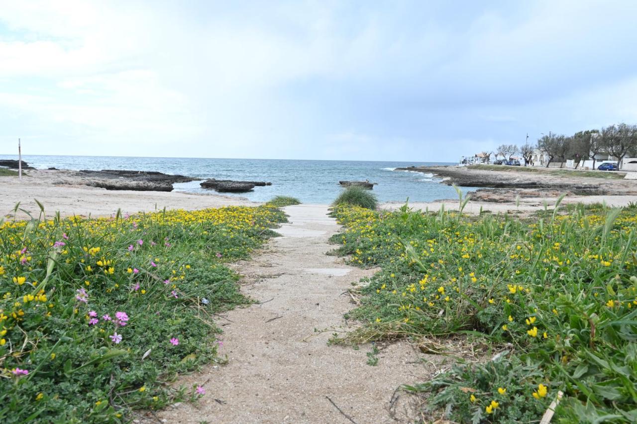 Villa Adua Torre Santa Sabina Dış mekan fotoğraf